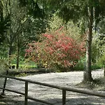 Etangs Du Moulin キャンプ場