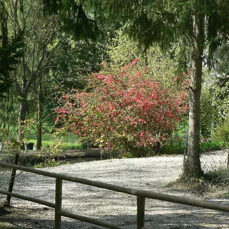 Etangs Du Moulin Kemping