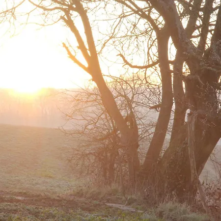 Etangs Du Moulin 3* Suzy
